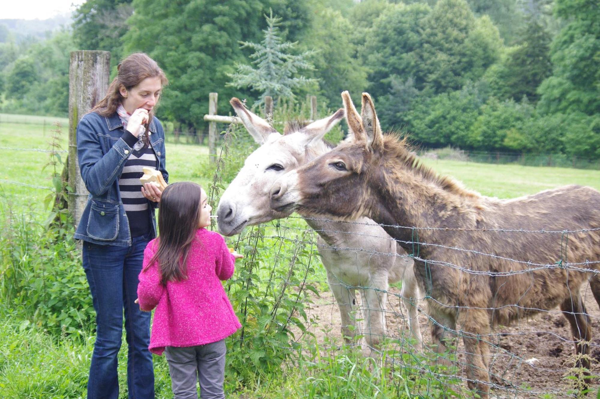 Camping Le Val De Trie Béhen Zewnętrze zdjęcie